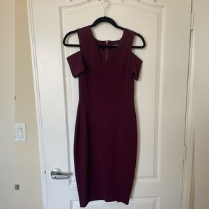 Express Burgundy Dress